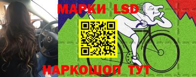 индика Можайск