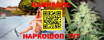 индика Можайск