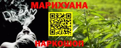 индика Можайск