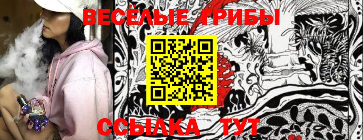 Южноуральск  Галлюциногенные грибы Psilocybine cubensis  Вход с VPN 